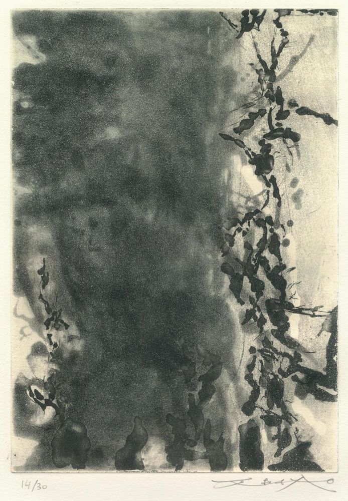 Große Abbildung Nr.2: 122-814 Fremon,J.: (Künstlergraphik, Zao Wu-Ki)