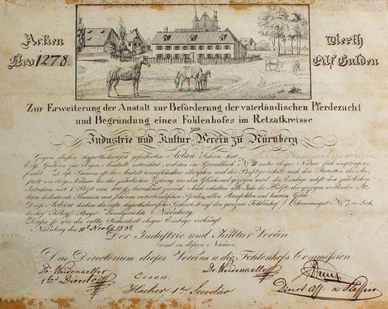 Große Abbildung Nr.1: 122-975 Aktie.: (Zoologie, Pferde)