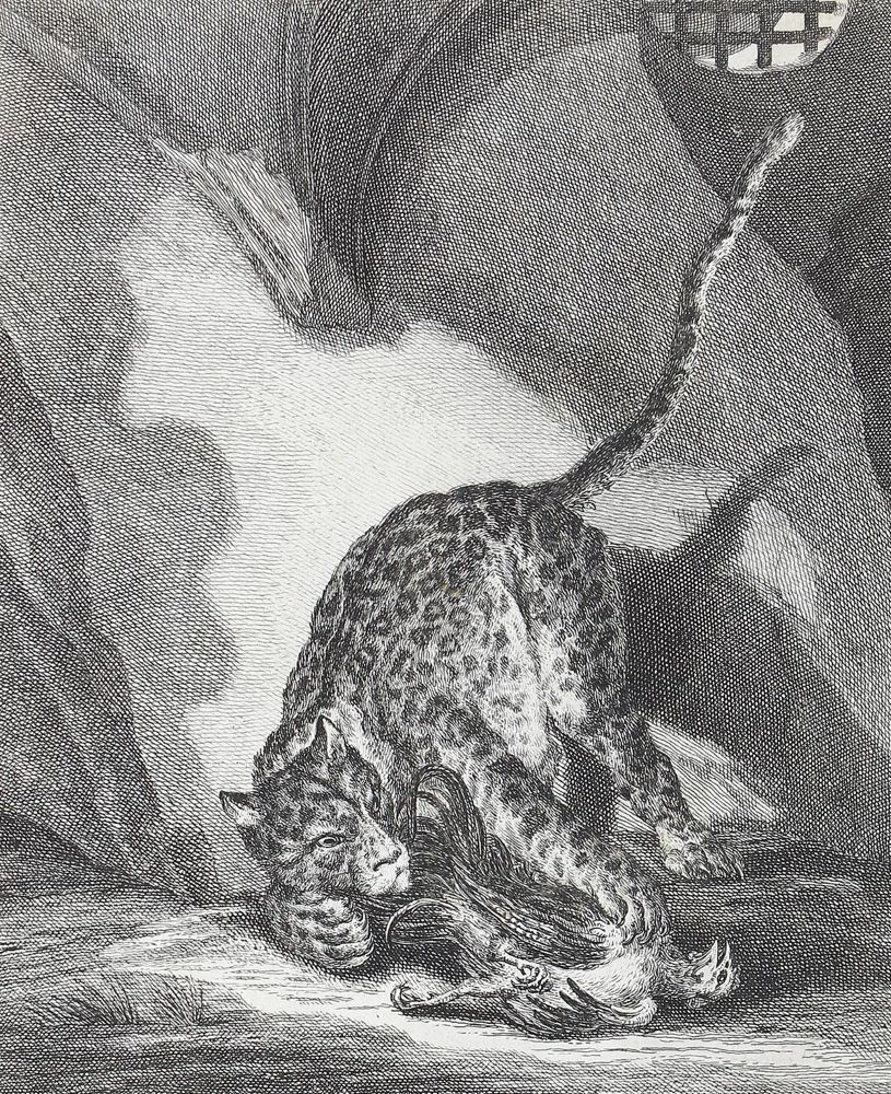 Große Abbildung Nr.1: 122-976 Ridinger,J.E.: (Zoologie)