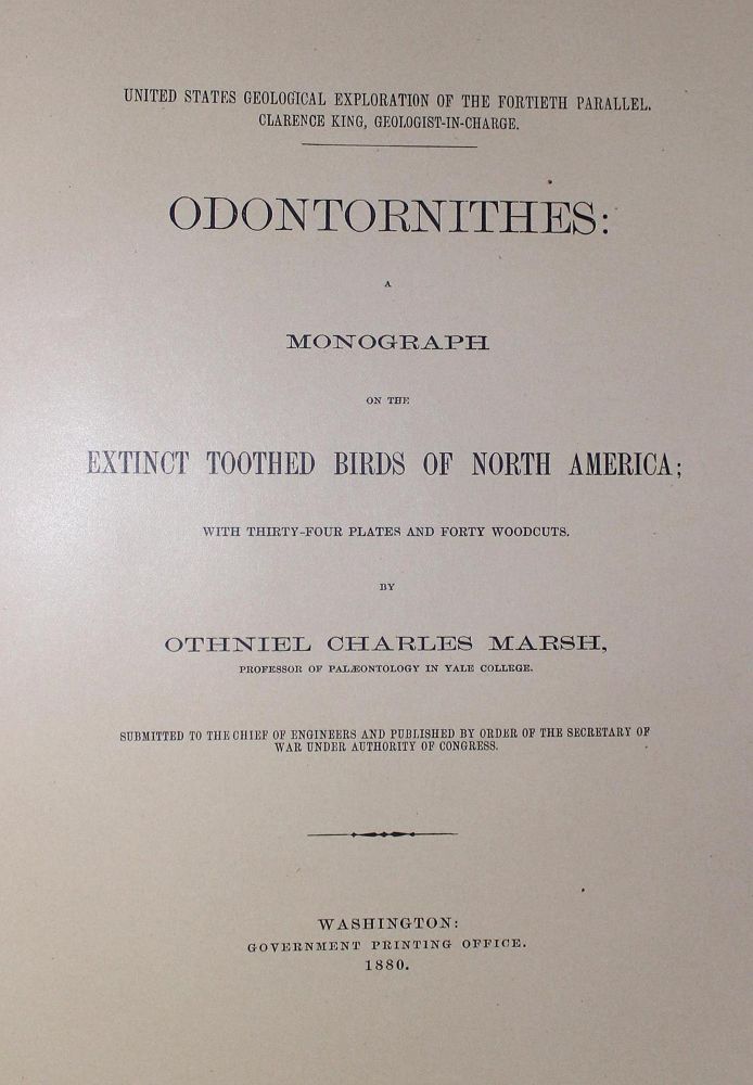 Große Abbildung Nr.1: 122-983 Marsh,O.C.: (Zoologie, Vögel)