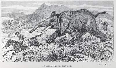 Bild Nr.1: 122-1057 Baker,S.W.: (Afrika)