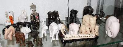 Bild Nr.21: 122-1318 Sammlung: (Varia, Sammlungen, Elefanten)