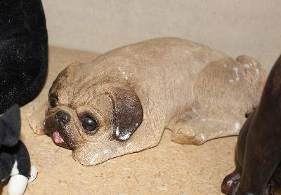 Bild Nr.25: 122-1320 Mops u. Bulldoggen.: (Varia, Sammlungen)