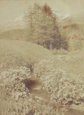 Bild Nr.3: 122-1706 St.Moritz.: (Alpen und Alpinismus)