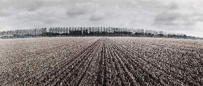 Bild Nr.3: 122-1710 Brodmann, Uwe: (Photographie)