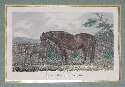 Bild Nr.3: 122-1787 Pferde und Jagd.: (Varia, Jagd)