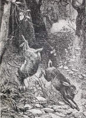 Bild Nr.3: 122-1815 Konvolut: (Varia)