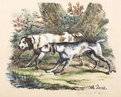 Bild Nr.2: 122-1821 Delpech, Francois-Séraphin: (Varia, Kynologie)