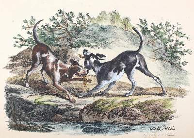 Bild Nr.4: 122-1821 Delpech, Francois-Séraphin: (Varia, Kynologie)