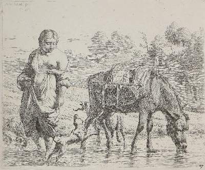 Bild Nr.10: 122-1920 Dujardin, Karel: (Varia, Zoologie, Schafe)