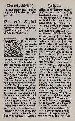 Bild Nr.2: 122-22 Biblia germanica.: (Bibeln)