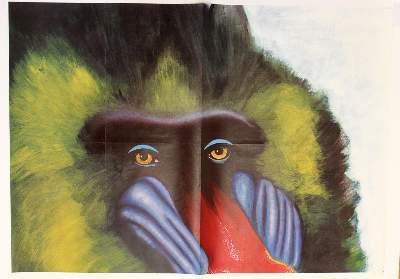 Bild Nr.82: 122-2276 Tiergarten Schönbrunn.: (Plakate, Zoologie)