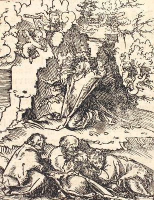 Bild Nr.1: 122-2532 Cranach, Lukas d. Ä.: (Künstlergraphik)