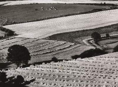 Bild Nr.2: 122-2865 Heidersberger, Heinrich: (Künstlergraphik)