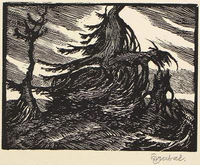 Bild Nr.1: 122-2905 Hrabal, Ernst: (Künstlergraphik)