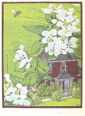 Bild Nr.1: 122-2995 Junk, Rudolf: (Künstlergraphik)