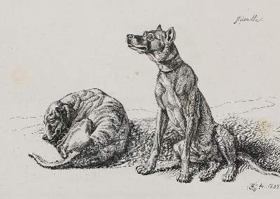 Bild Nr.1: 122-3046 Klein, Johann Adam: (Künstlergraphik)