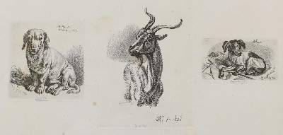Bild Nr.2: 122-3046 Klein, Johann Adam: (Künstlergraphik)