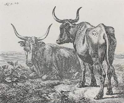 Bild Nr.1: 122-3047 Klein, Johann Adam: (Künstlergraphik)