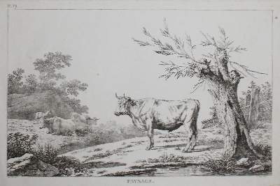 Bild Nr.3: 122-3173 Landschaften.: (Künstlergraphik, Landschaft)