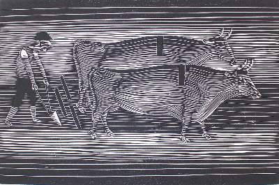 Bild Nr.1: 122-3258 Marcks, Gerhard: (Künstlergraphik)