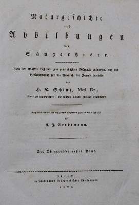 Bild Nr.61: 122-381 Konvolut: (Varia)