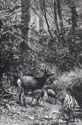 Bild Nr.1: 122-470 Corneli,R.: (Jagd)