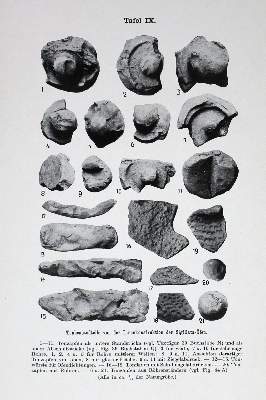 Bild Nr.1: 122-501 Forrer,R.: (Archäologie)