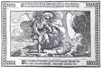 Bild Nr.1: 122-51 Biblia germanica.: (Bibeln)