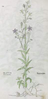 Bild Nr.6: 122-585 Fuchs,L.: (Faksimile)