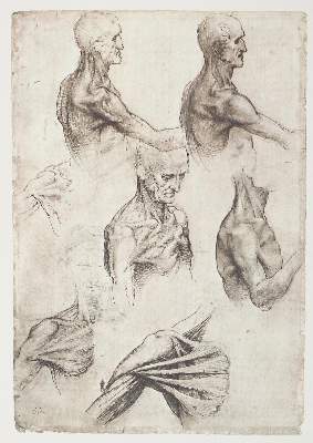 Bild Nr.1: 122-588 Leonardo da Vinci.: (Faksimile)