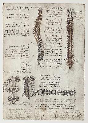 Bild Nr.2: 122-588 Leonardo da Vinci.: (Faksimile)