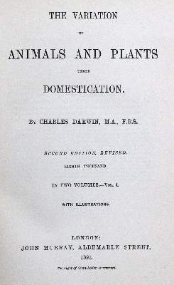 Bild Nr.1: 122-970 Darwin,C.: (Zoologie)