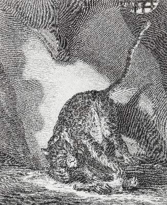 Bild Nr.1: 122-976 Ridinger,J.E.: (Zoologie)