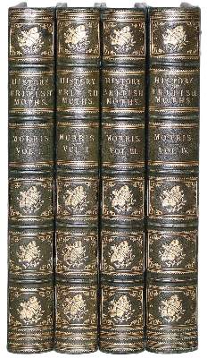 Bild Nr.1: 122-979 Morris,F.O.: (Zoologie, Schmetterlinge)