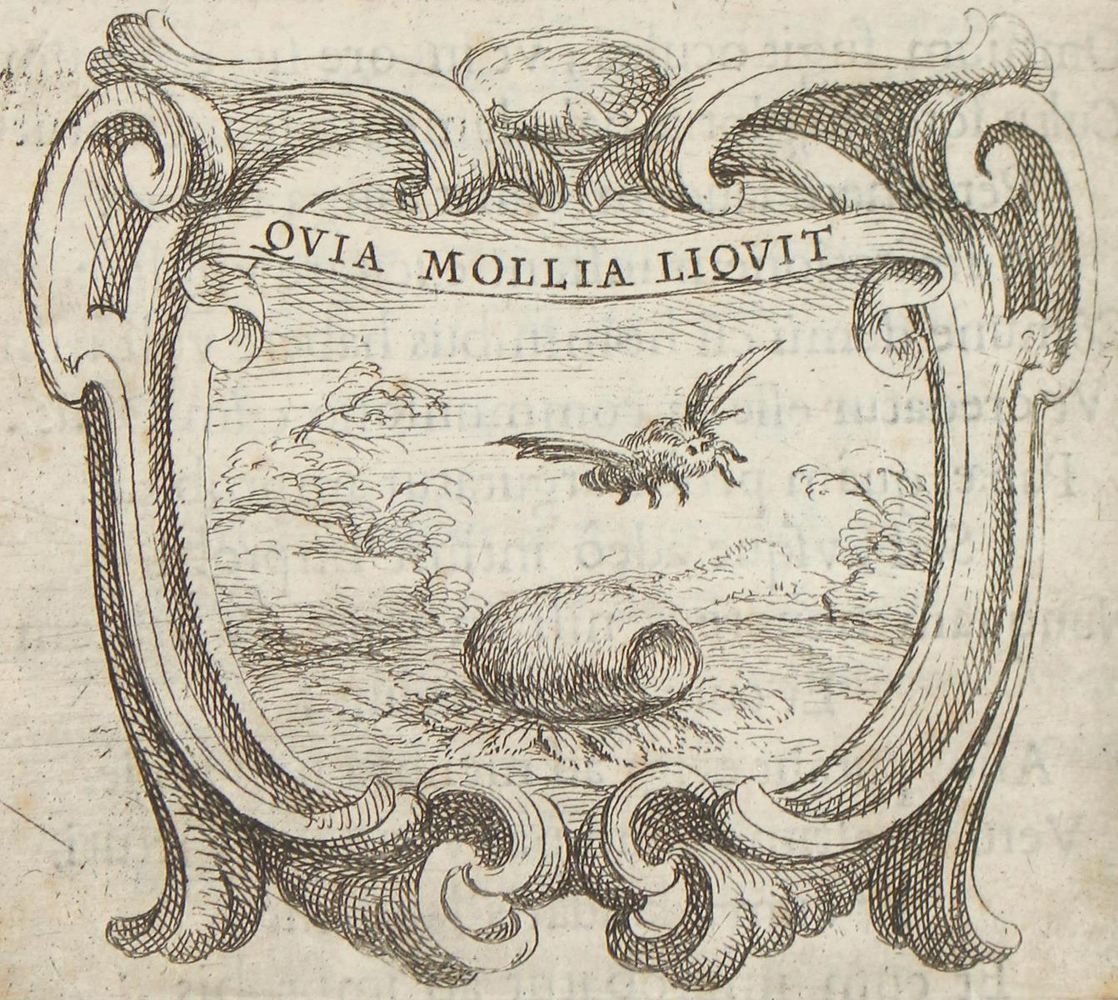Große Abbildung Nr.1: 123-130 (Bovio,C.: (Emblemata)