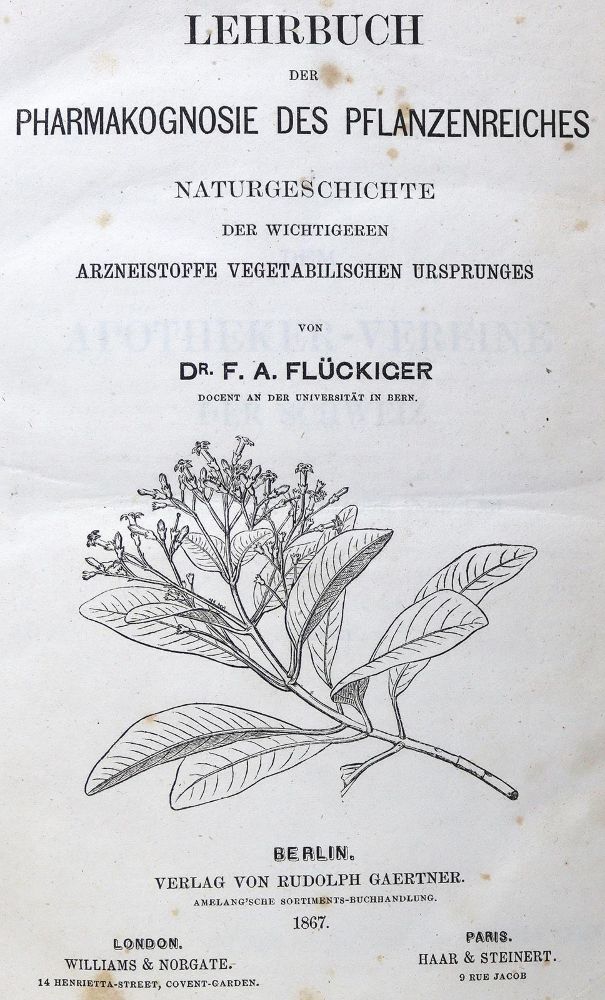 Große Abbildung Nr.1: 123-1312 Flückiger,F.A.: (Botanik)