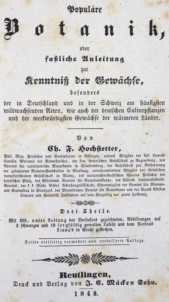 Große Abbildung Nr.11: 123-1317 Hochstetter,C.F.: (Botanik)