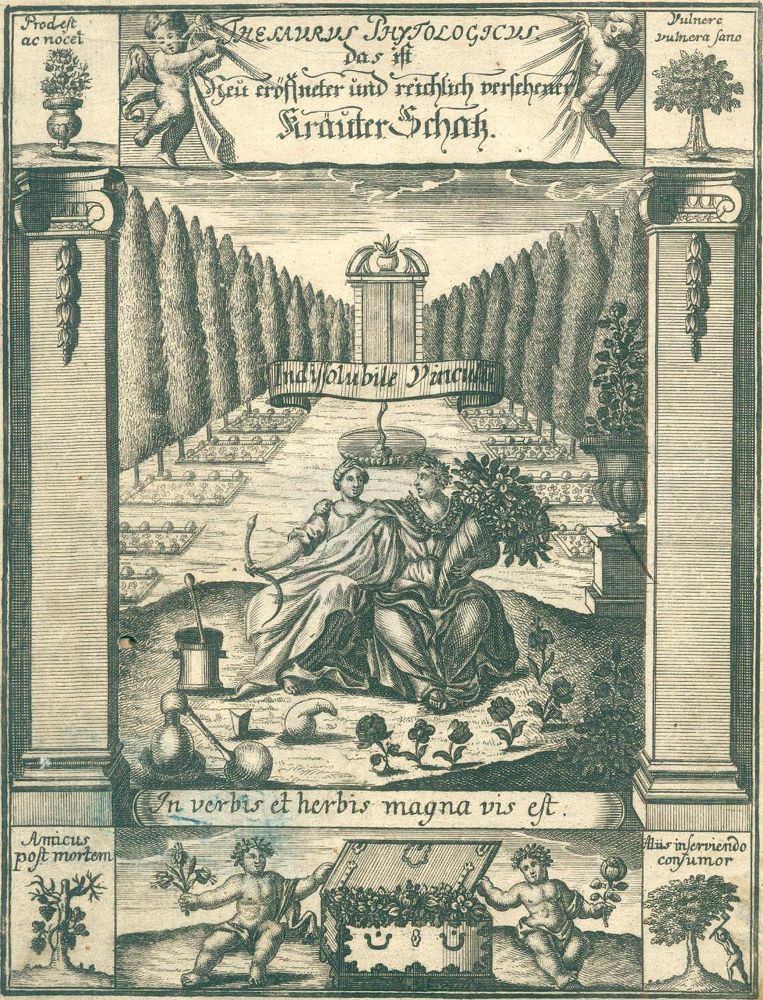 Große Abbildung Nr.2: 123-1326 Hotton,P.: (Botanik, Kräuterbücher)