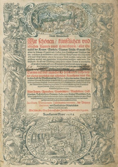 Große Abbildung Nr.1: 123-1329 Tabernaemontanus,J.T.: (Botanik, Kräuterbücher)
