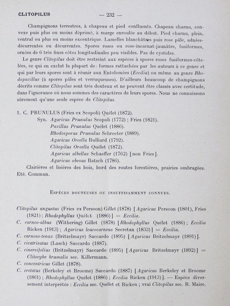 Große Abbildung Nr.1: 123-1340 Konrad,P. u. A.Maublanc.: (Botanik, Pilze)