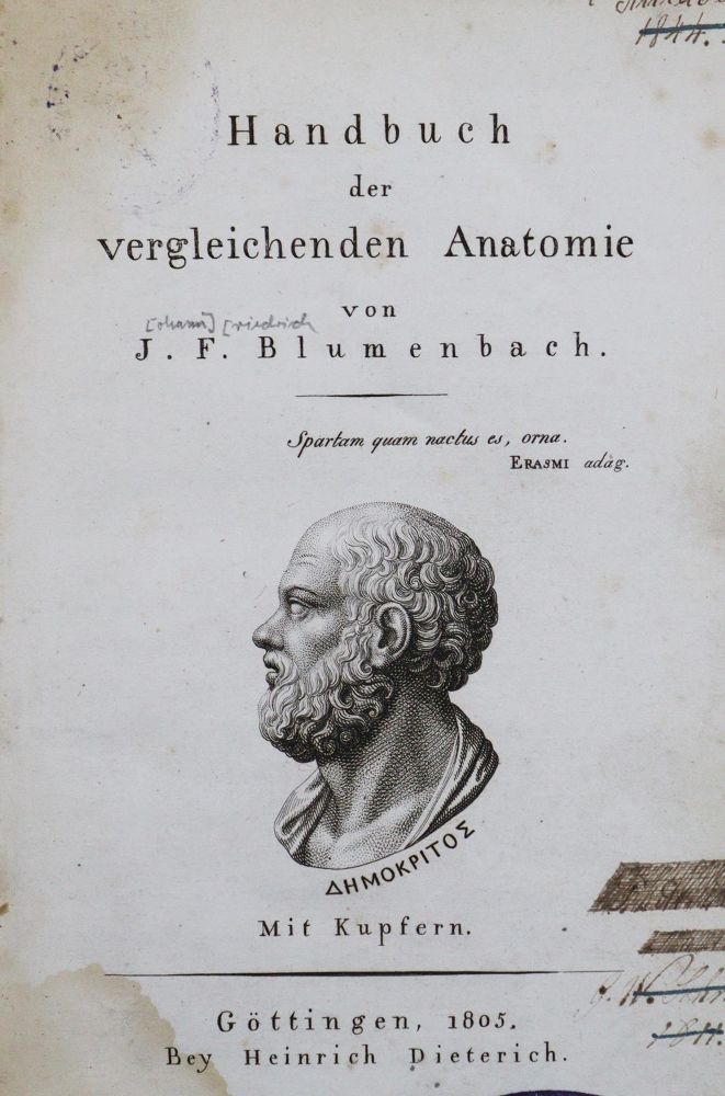 Große Abbildung Nr.1: 123-1372 Blumenbach,J.F.: (Medizin)