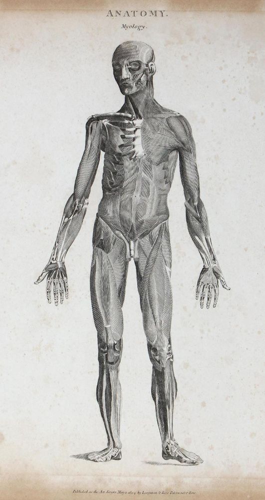 Große Abbildung Nr.2: 123-1374 Chirurgie.: (Medizin)