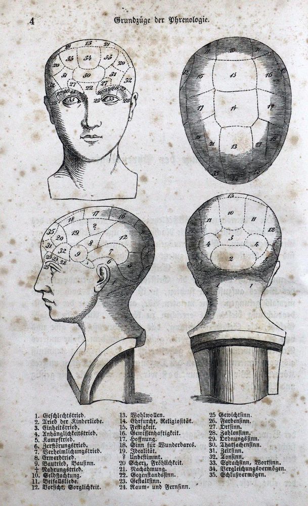 Große Abbildung Nr.1: 123-1422 Scheve,G.: (Medizin, Phrenologie)