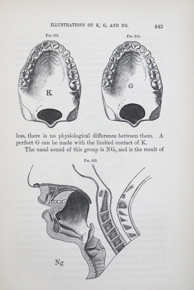 Große Abbildung Nr.1: 123-1436 Kingsley,N.W.: (Medizin, Zahnheilkunde)