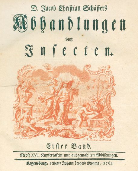 Große Abbildung Nr.1: 123-1442 Schäffer,J.C.: (Zoologie, Insekten)
