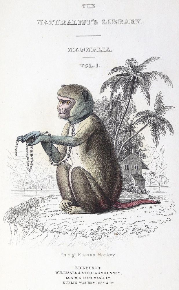 Große Abbildung Nr.1: 123-1444 Jardine,W.: (Zoologie)