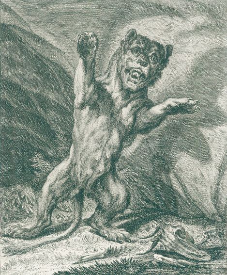 Große Abbildung Nr.1: 123-1453 Ridinger,J.E.: (Zoologie)
