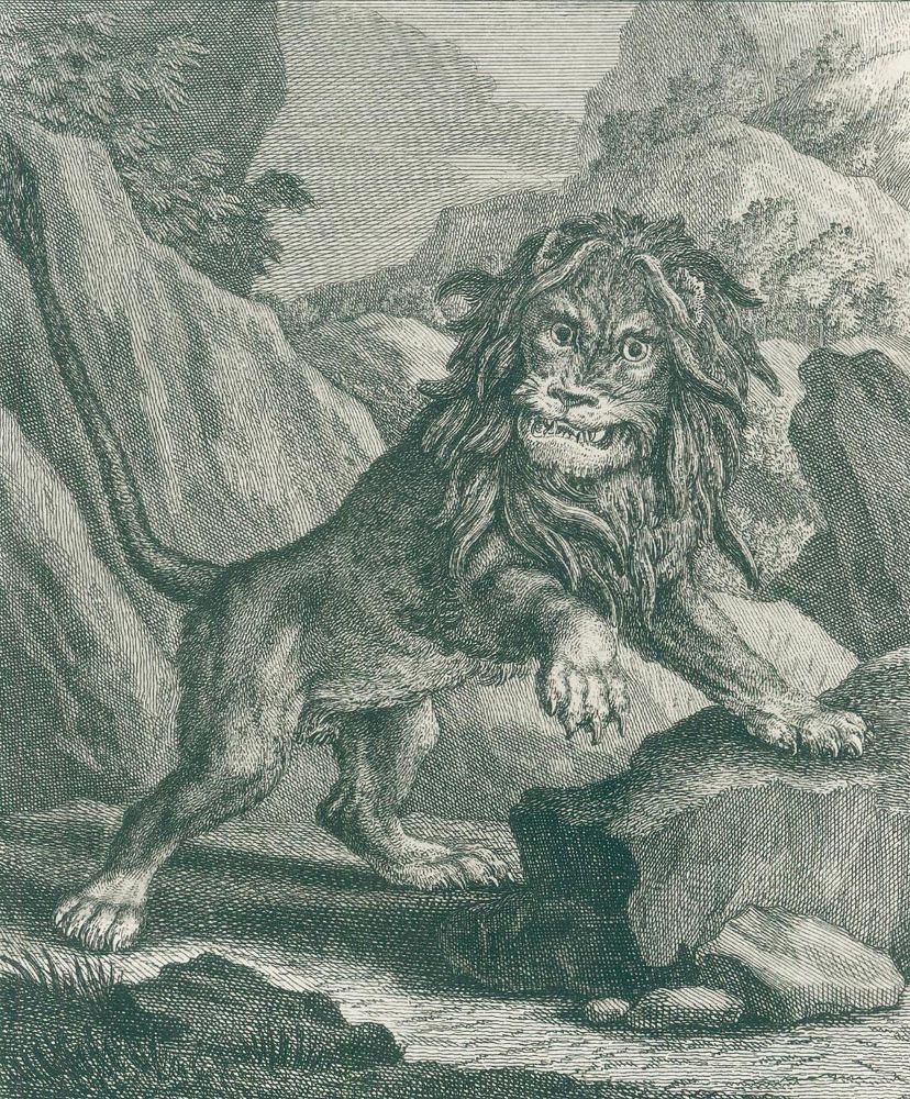 Große Abbildung Nr.2: 123-1453 Ridinger,J.E.: (Zoologie)