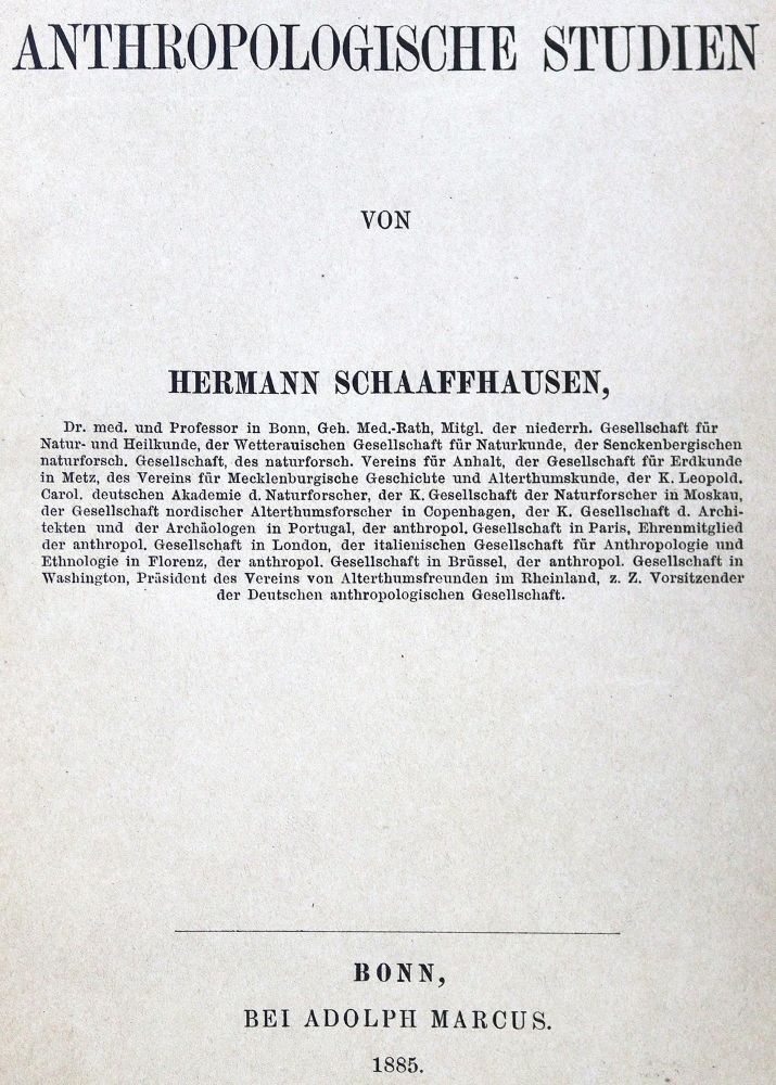 Große Abbildung Nr.1: 123-1469 Schaaffhausen,H.: (Verschiedene Gebiete - Varia, Anthropologie)